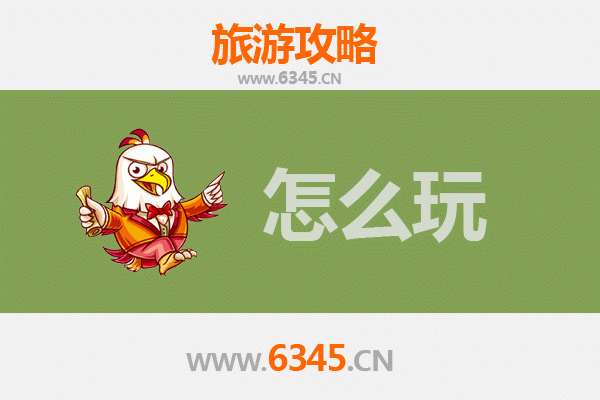 节假日神农架九湖镇深度游玩攻略：探秘高山湿地与原始森林